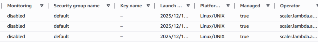 Managed EC2 instances for Lambda functions with LLM compute type part 2